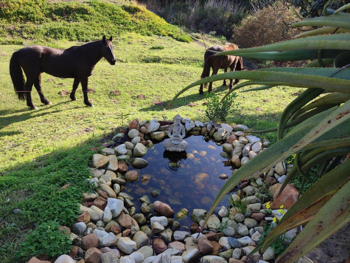 The Riverstone - Romantic Hideaway By The River - Loadshedding Free! Napier 외부 사진