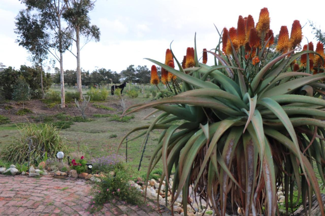 The Riverstone - Romantic Hideaway By The River - Loadshedding Free! Napier 외부 사진