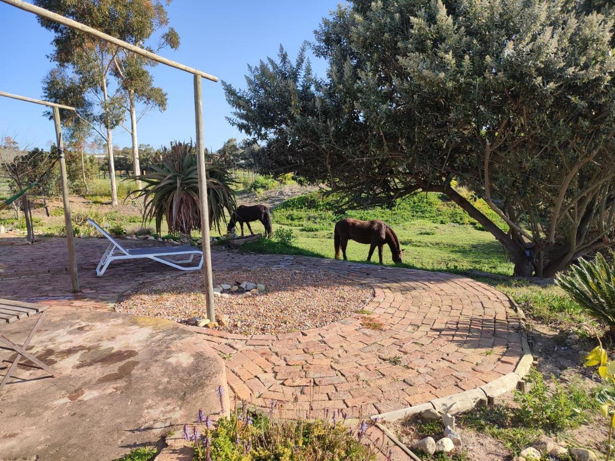 The Riverstone - Romantic Hideaway By The River - Loadshedding Free! Napier 외부 사진